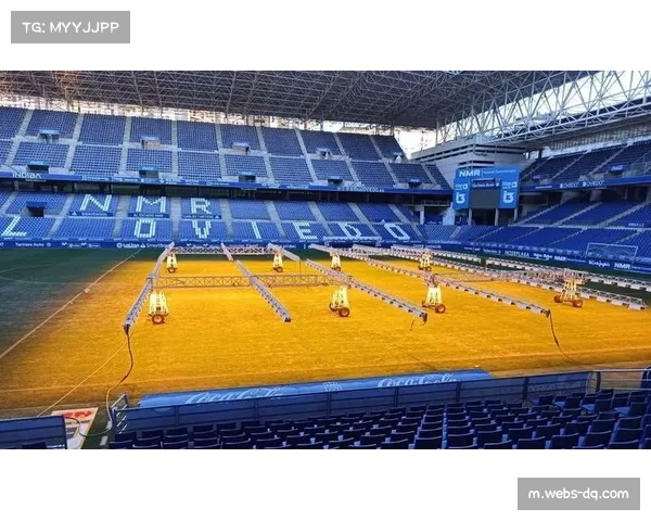 玻利维亚高原主场优势明显 客场作战能力成稳定性关键